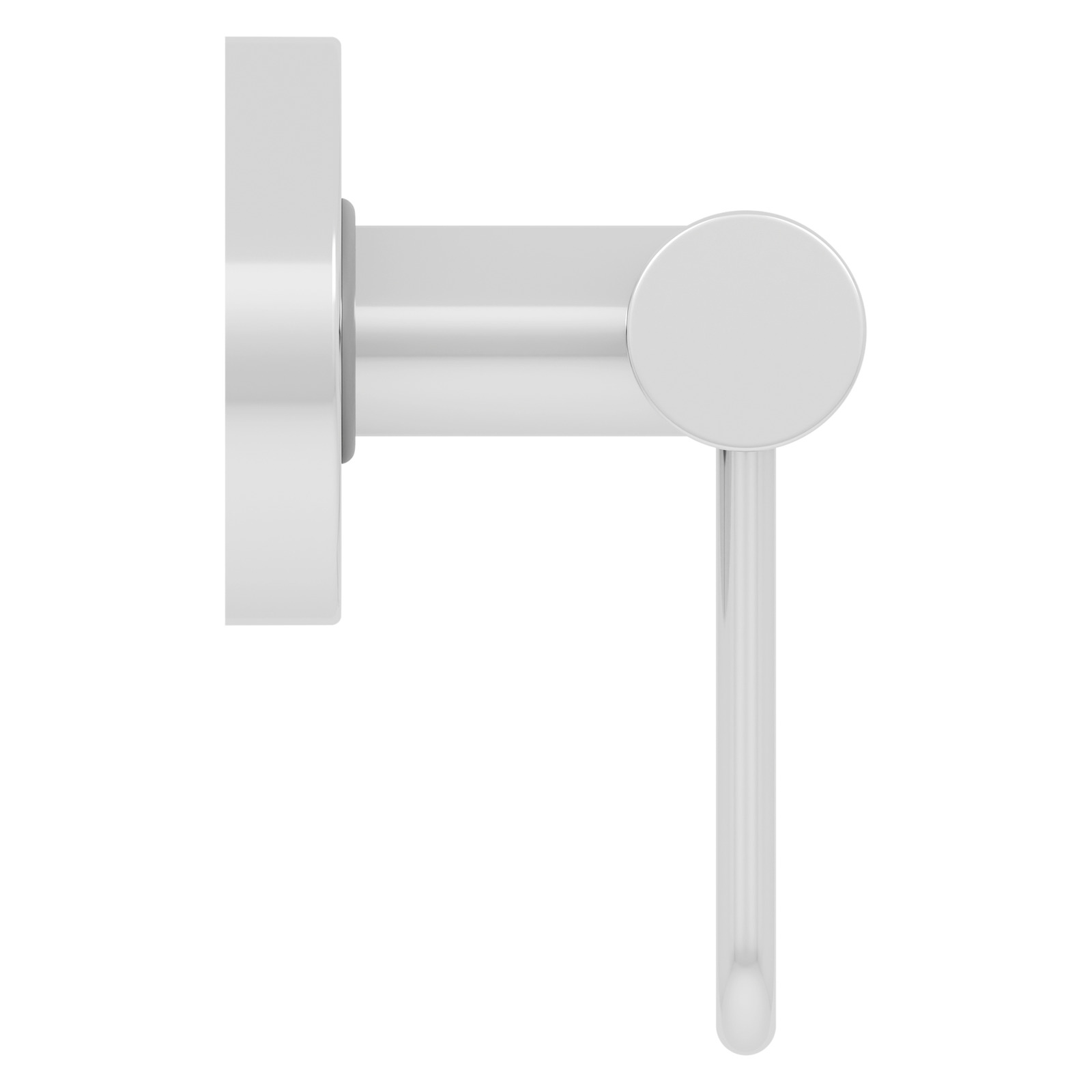Toilet Roll Holder Grab Rail Polished Stainless Steel evekare